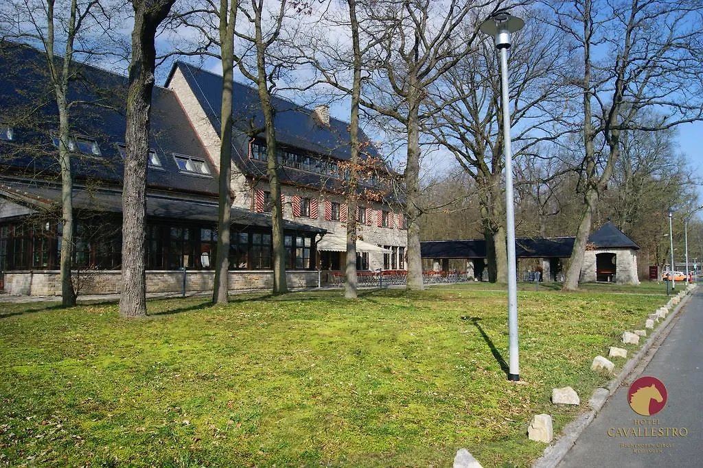 Cavallestro Classic Kitzingen